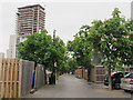 Avenue of horse chestnuts