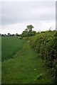 Footpath to Finchingfield Road