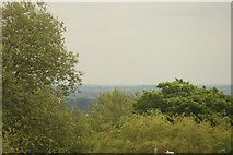 TQ3370 : View of the southeast from the Crystal Palace terrace #15 by Robert Lamb