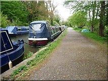 ST7862 : Moorings along the Somerset Coal Canal by Christine Johnstone