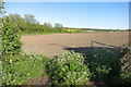 Fields south of Princes Risborough