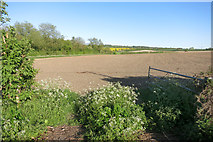 SP8002 : Fields south of Princes Risborough by Des Blenkinsopp