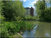 ST2078 : Pond in  Howardian  Nature Reserve, Cardiff by Robin Drayton