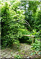 A shady nook in Copton Ash Garden, Faversham