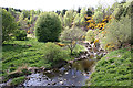 Crynoch Burn