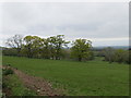 Old Field Boundary near Rea Thwaite