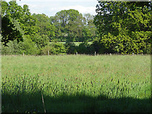 SU9072 : Fields near Winkfield by Alan Hunt