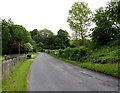 Road east towards Coleford from Cherry Orchard Farm near Newland