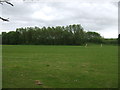 Playing field, Hunmanby