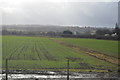 Farmland near Sandycroft