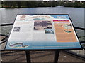 Information sign at The Mere