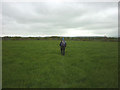 Footpath north of Newby Head