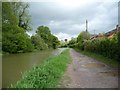 Pound between locks 49 and 50, Kennet & Avon Canal