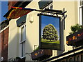 Pub Sign at The Chestnut Tree