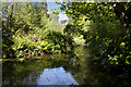 The lake at Glyn Isa from the nature trail