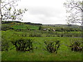 Carn Townland