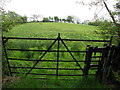 Gate to a rushy field, Effernan Glebe