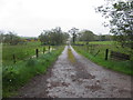 Concrete lane, Effernan Glebe