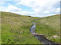 Tarn Beck