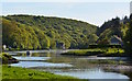 SX1457 : The River Lerryn at Lerryn, Cornwall by Edmund Shaw
