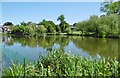 Chislehurst Common, pond