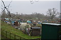 Allotments by Chapel Lane