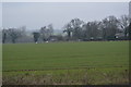 Field on the edge of Wymondham