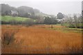 Reed beds, River Hems