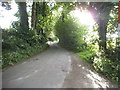 Bibbs Hall Lane, Ayot St Lawrence