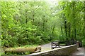 Track into Highleigh Quarry