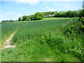 The Elham Valley Way at North Elham