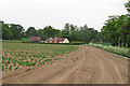 Looking along arable field margin towards West Lodge, Langham