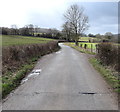 South along Sutton Road, Littledean