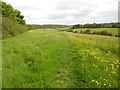 View from below Bellingdon