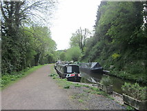 ST7862 : Somerset Coal Canal by Ian Murfitt
