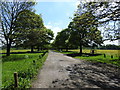 Hungerford Common Port Down