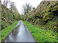 National Cycle Network Route 7 at Bowling