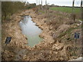 Wilts & Berks Canal from Station Road Arch Bridge