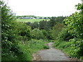 Farm track (footpath) off Elemore Lane