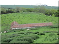 Lambing pens from above