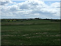 Farmland towards Slingley Hill