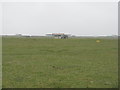 VOR Navigation beacon at Tiree airfield