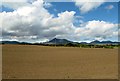 Potato fields on the north side of Newcastle Road