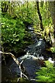 Balsaggart Burn In Spring