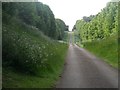 Private road in Hatfield House Estate