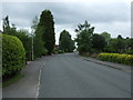 Main Street, Carlton