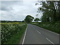 Gibbet Lane