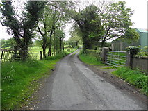 H5174 : Rushill Road, Racolpa by Kenneth  Allen