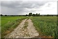 Footpath near Ardington Wick