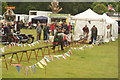 View of the miniature railway in the St Albans Steam and Country Show